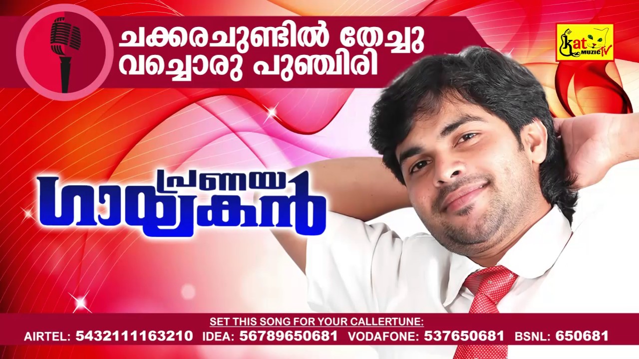 ചക്കര ചുണ്ടിൽ | Chakkarachundil | Pranaya Gayakan | Hit Romantic Album Song | Shafi Kollam