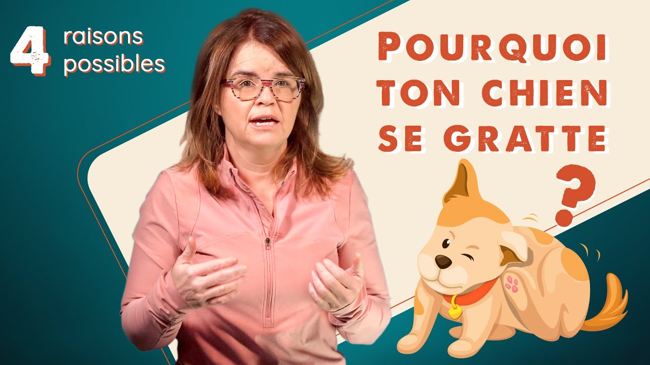 4 causes de grattage les plus fr&eacute;quentes en lien avec l&rsquo;alimentation