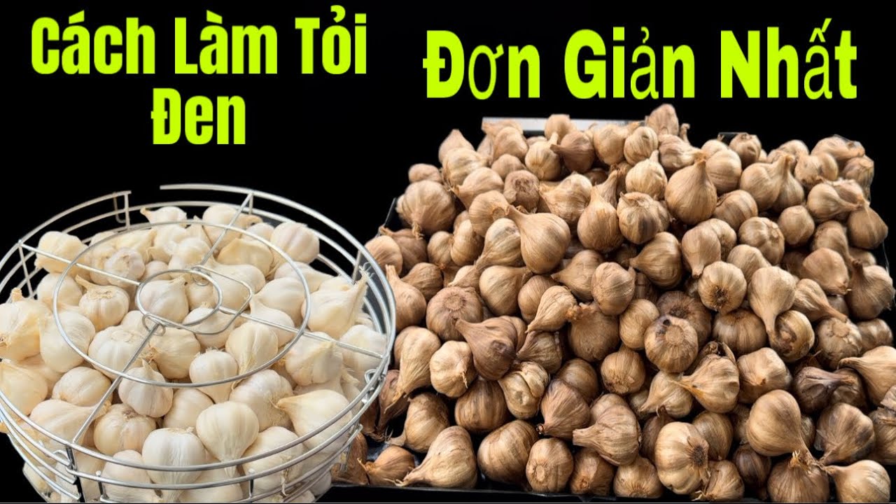 Cách Làm Tỏi Đen Đơn Giản Nhất Chỉ Một Bước Thành Công Ngay Lần Đầu
