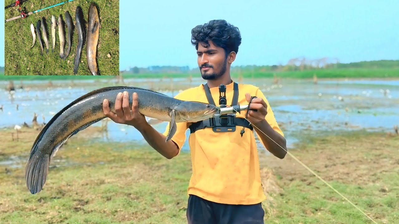 #korramenu# snakehead fish hunting  murali #