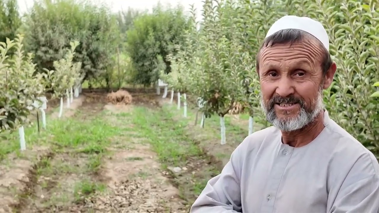 زراعت و مالداری مردم بدخشان