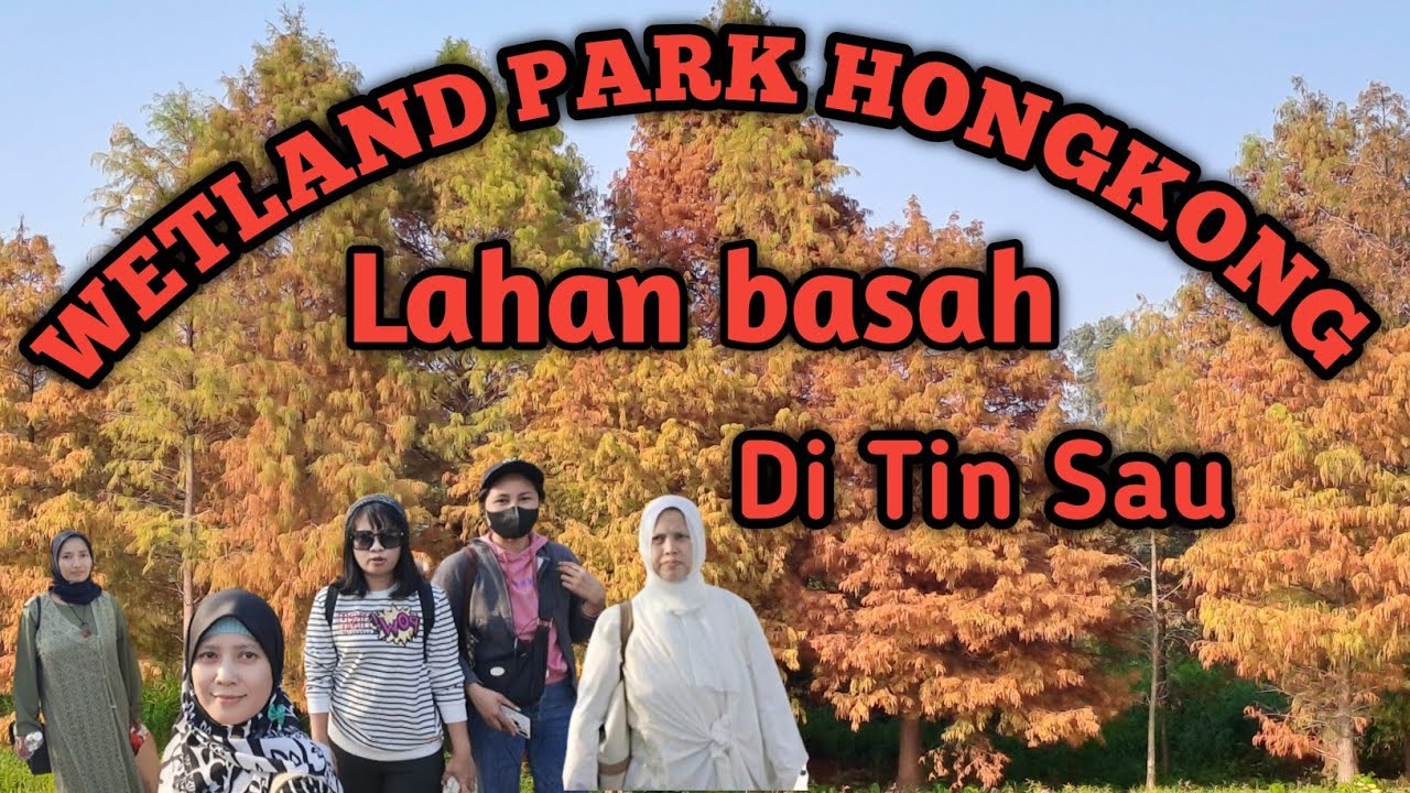 WETLAND PARK HONGKONG // TAMAN BASAH DENGAN PEMANDANGAN ASRI SEPERTI DI PEDESAAN
