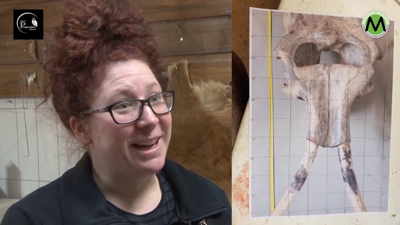 Belicht Afl  Preparateur Sanne Steenbakkers 26 3 2019