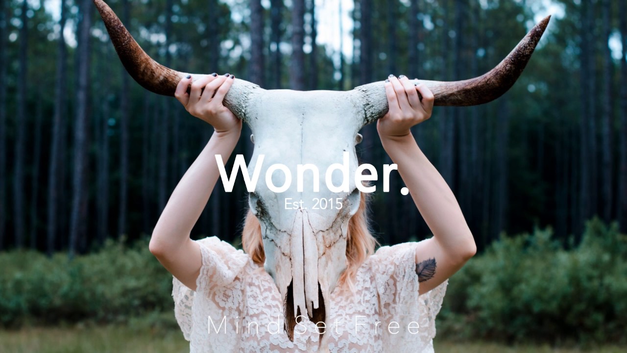 Elliot Moss - Without The Lights