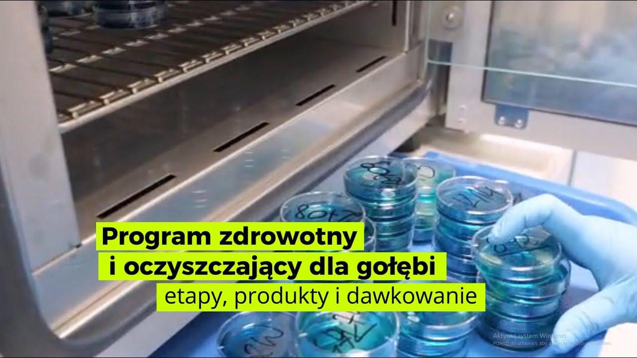 Program zdrowotny i oczyszczający dla gołębi