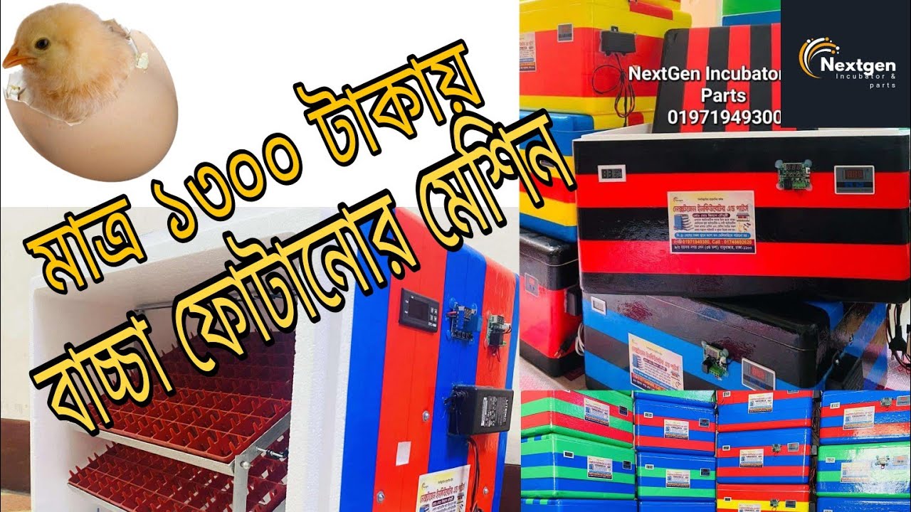 মাত্র ১৩০০ টাকায় বাচ্চা ফুটানোর ইনকিউবেটর মেশিন । #incubator #farming #autoincubator 