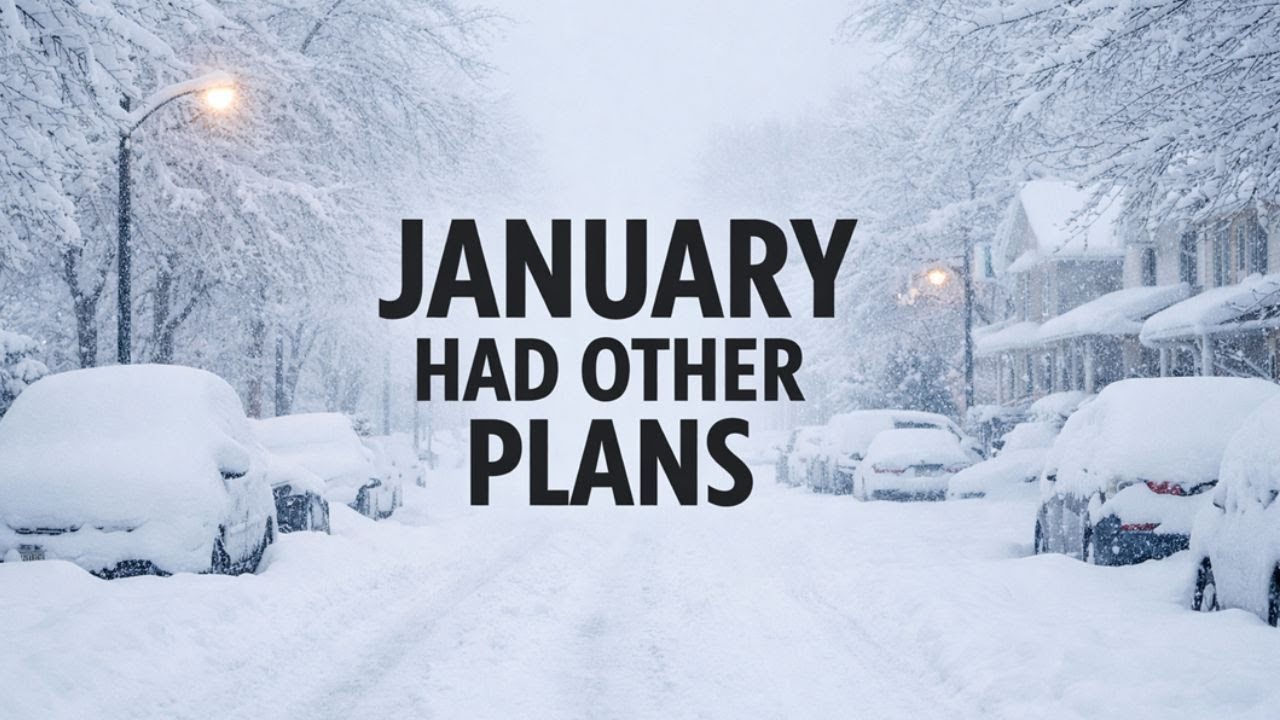 Когда снежная буря изменила наше обычное январское утро