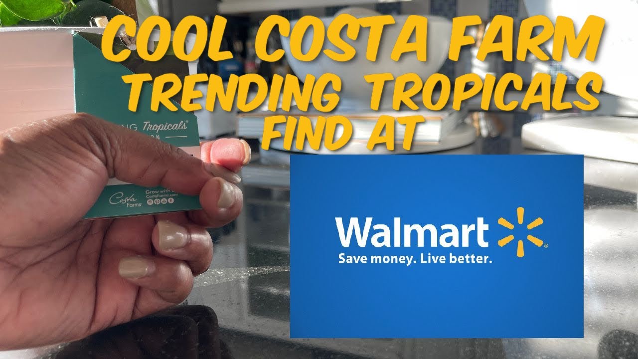 187: Awesome Trending Tropicals by Costa Farms Find! | Walmart | Carrollton, Texas
