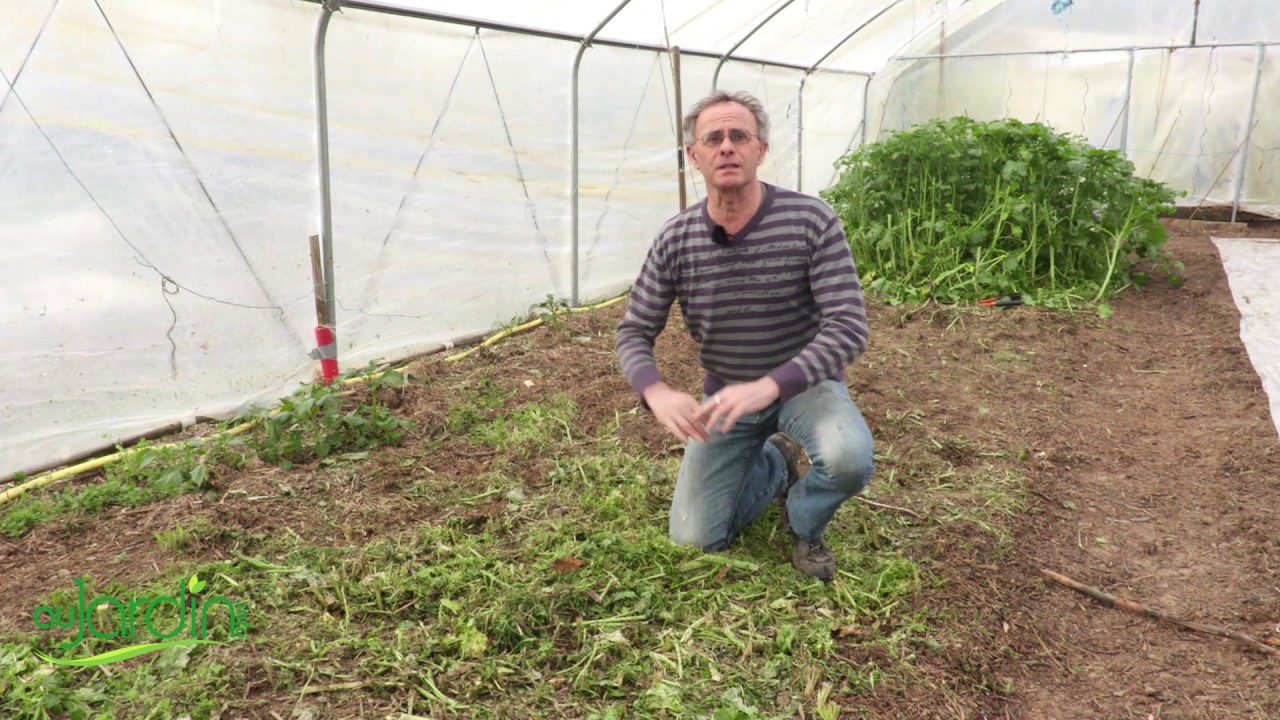 La BIOFUMIGATION d'un SOL sous SERRE
