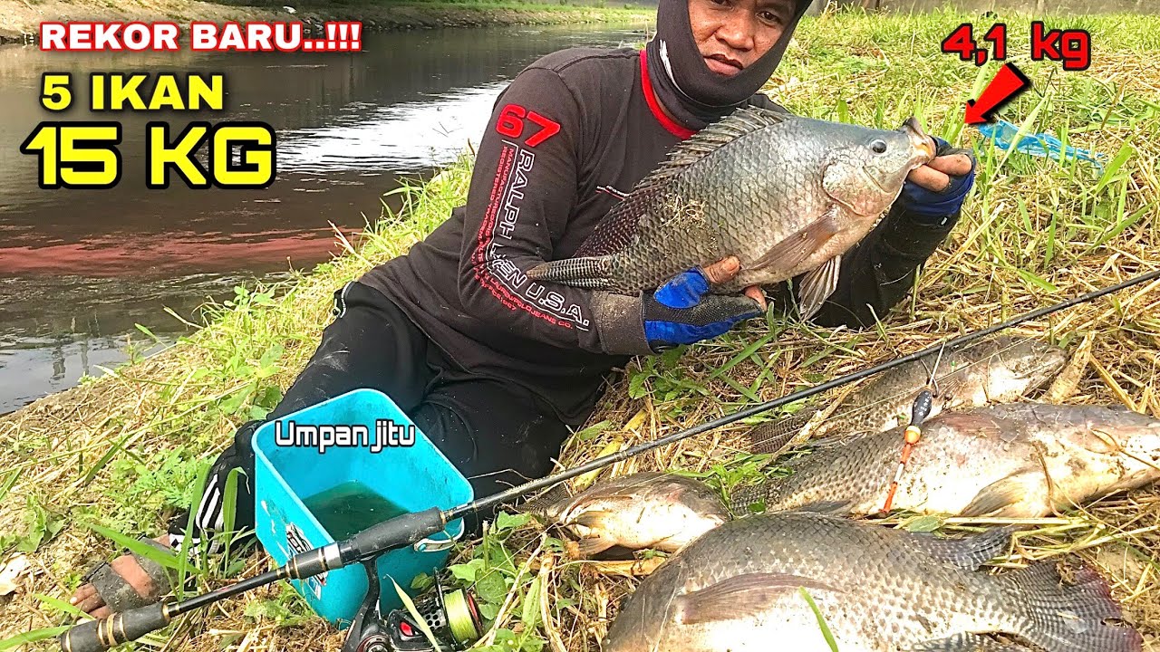 FISHING TILAPIA..!! Rekor Baru Mancing ikan Nila super Besar Rell sampai menjerit cruit