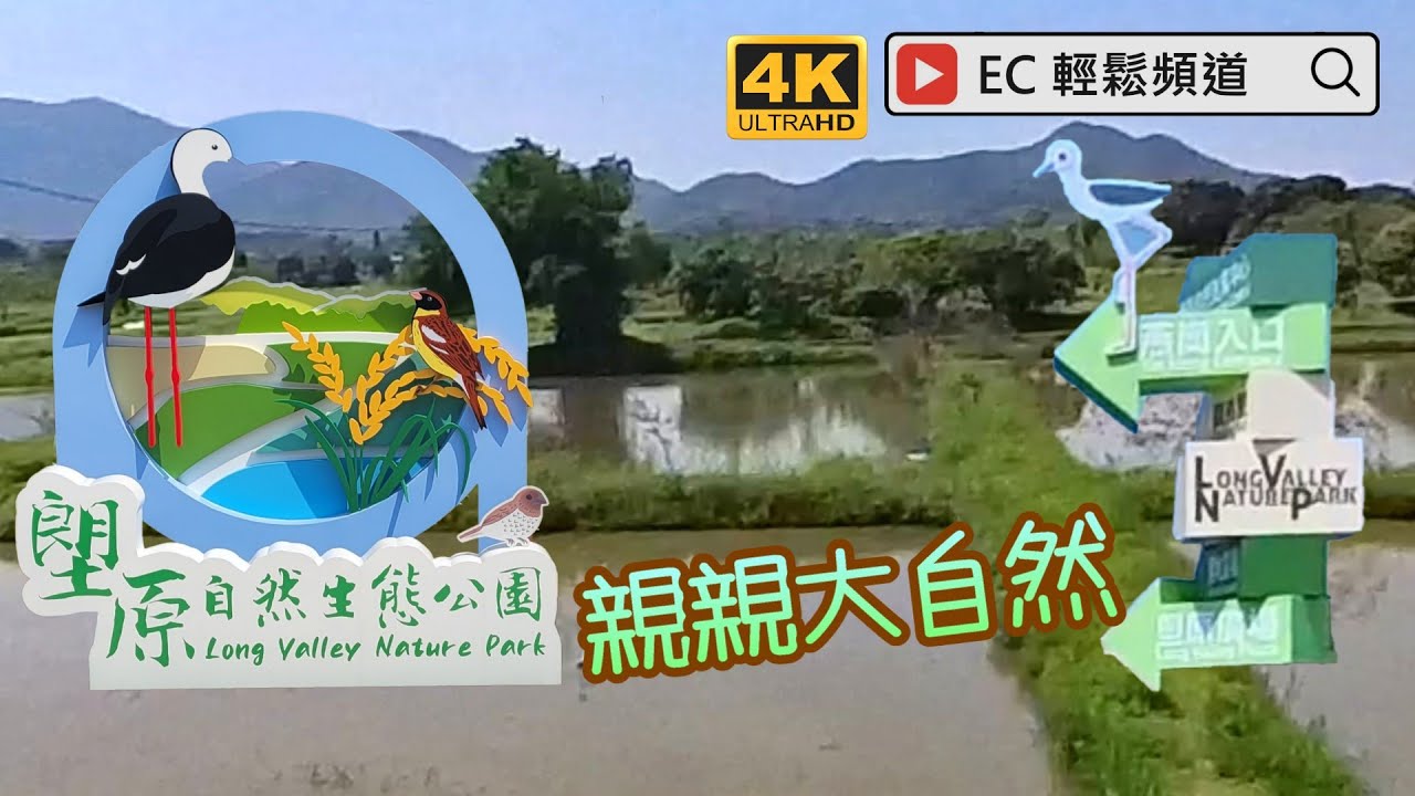 親親大自然 | 塱原自然生態公園 | 塱原濕地 | 河上鄉 | Long Valley Nature Park | Long Valley Wetland | Ho Sheung Heung