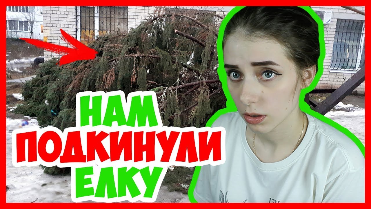 СОСЕДИ НАМ ПОДКИНУЛИ ЕЛКУ!  Война с соседями