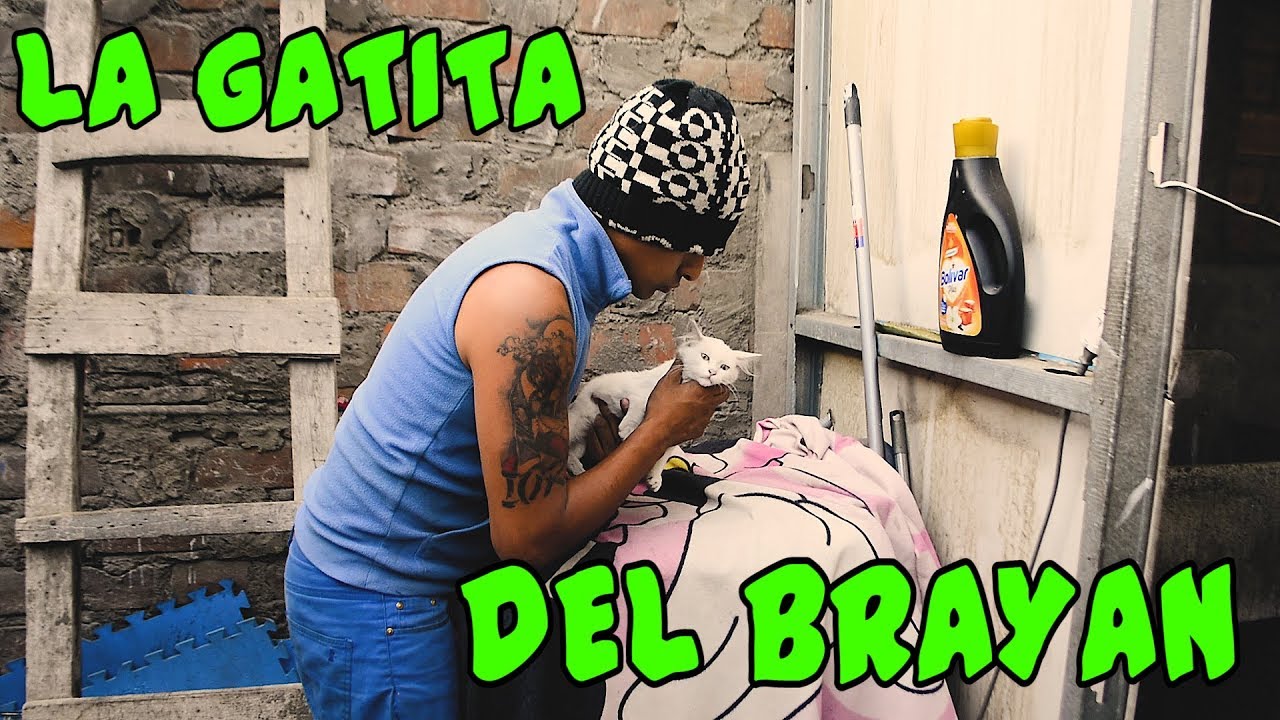 LA GATITA DEL BRAYAN - Loco IORI