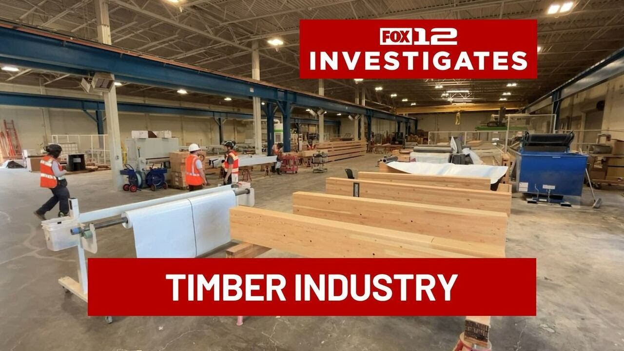 Oregon timber town finds new life as sawmills adapt to sustainable building