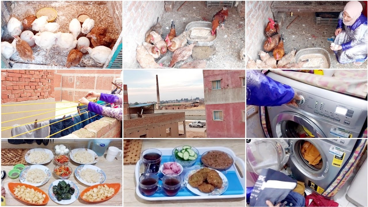 روتين ملخص يومى🌿روتينى مينفعش يفوتك✋️نصايح هتفيدك ياست البيت👩‍🍳اللهم ارزقنا لين القلب وحسن الخلق🫶❤️