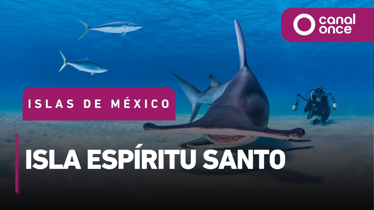 Islas de M&eacute;xico - Isla Esp&iacute;ritu Santo