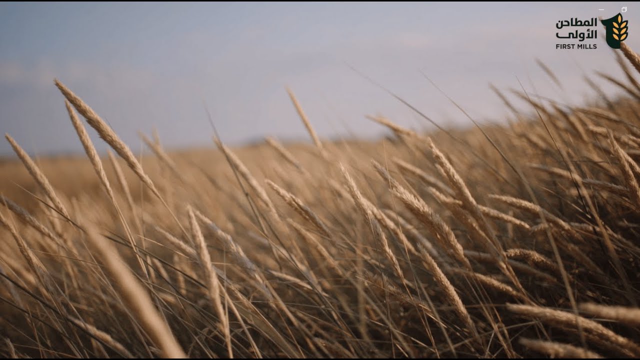 First Mills Documentary | الفيلم الوثائقي لشركة المطاحن الأولى