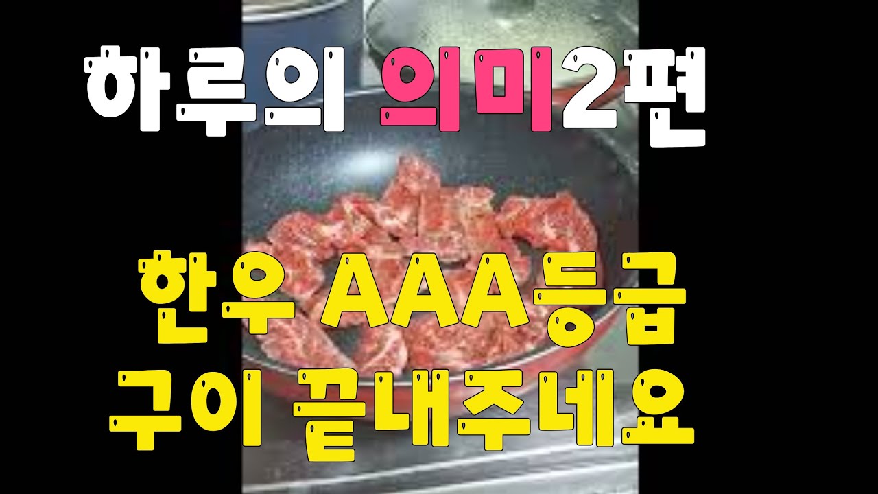 일상 토요일 영업마치고 말티즈  한우 막걸리 의미있는하루