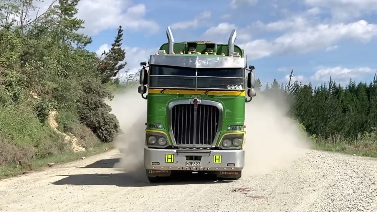 Logging in the Dust