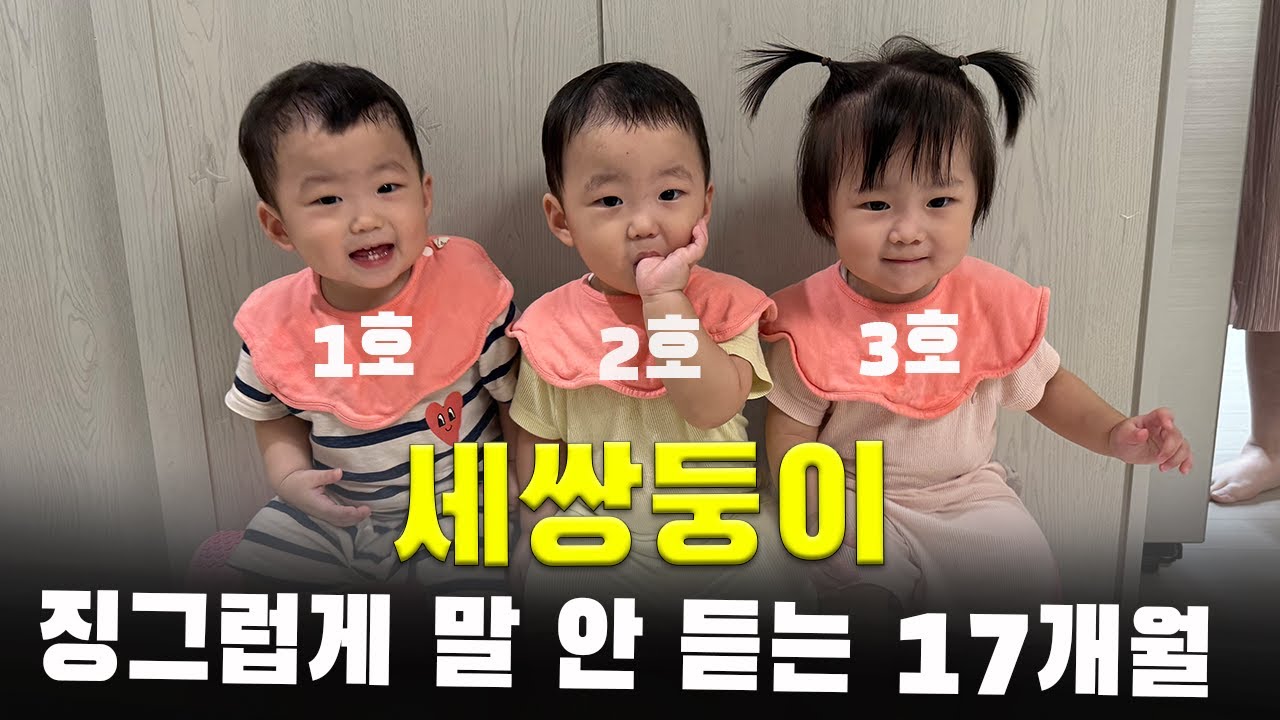 아직 18개월 아닌데.. 예쁜데 미운 세쌍둥이ㅣ아기 훈육ㅣ삼둥이 현실육아 24시간ㅣ17개월 아가ㅣ육아 브이로그ㅣ가정보육ㅣVLOG