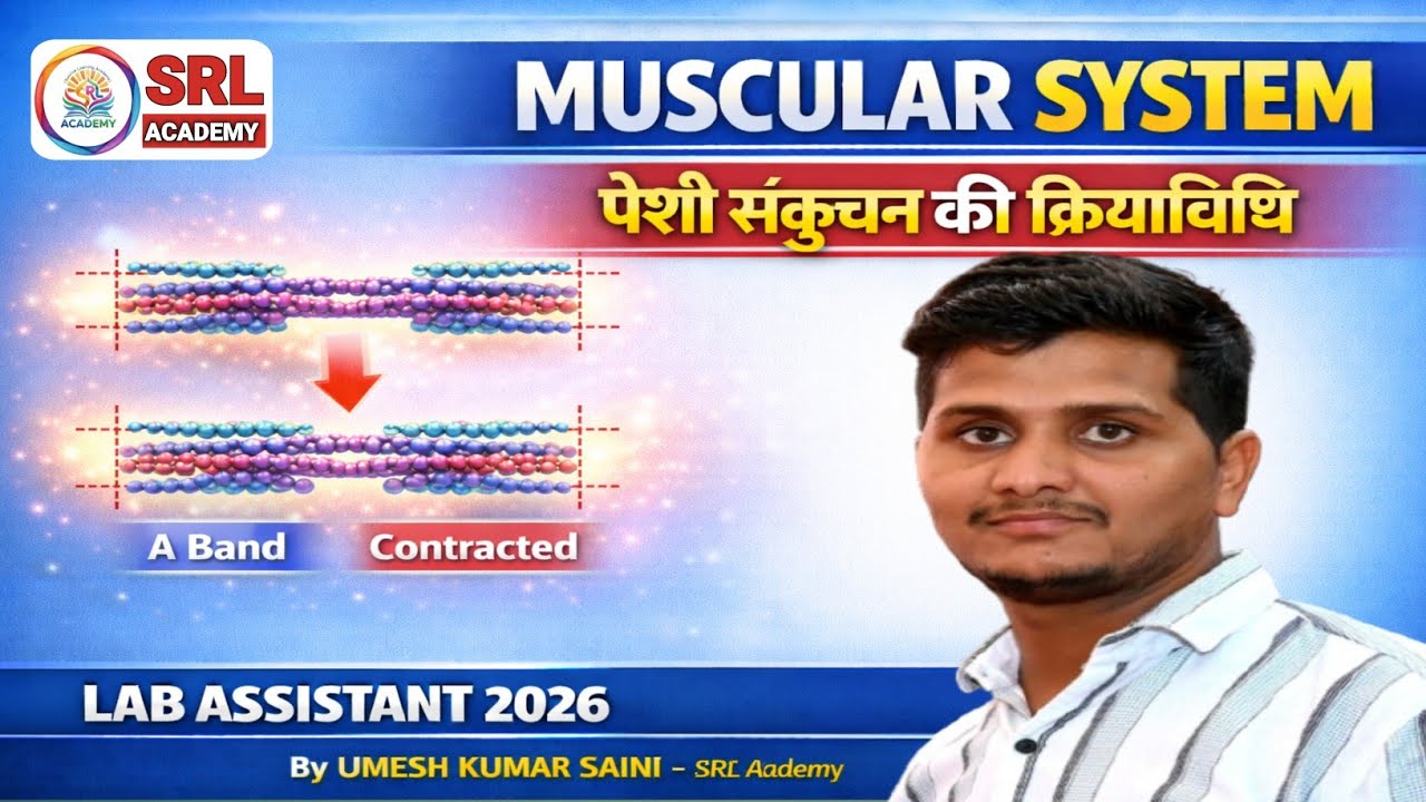 Muscles | Muscle Contraction Mechanism | Sliding Filament Theory | Lab Assistant  Biology |Umesh sir