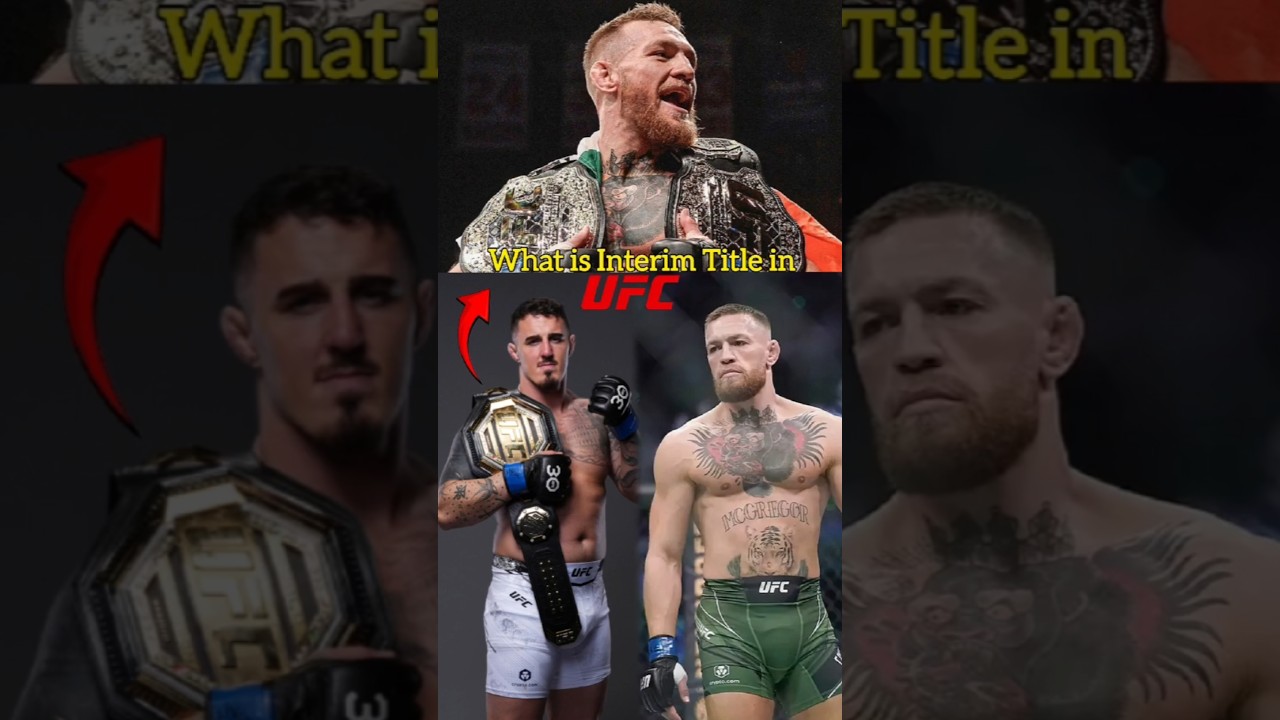 What is Interim Champion in UFC / MMA #mmaindia #combatsport #martialarts #mixedmartialarts #mfn