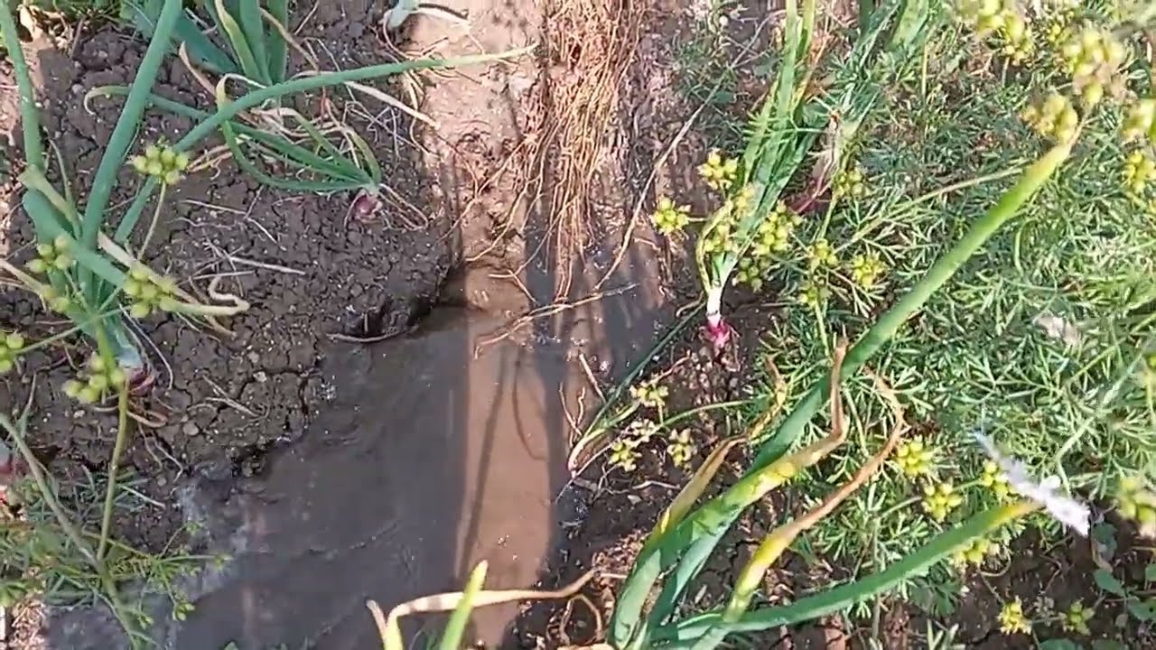 बहुत ज्यादा पानी लग रहा हे 💦😱😇 desi life vlogs #dailyvlogs 