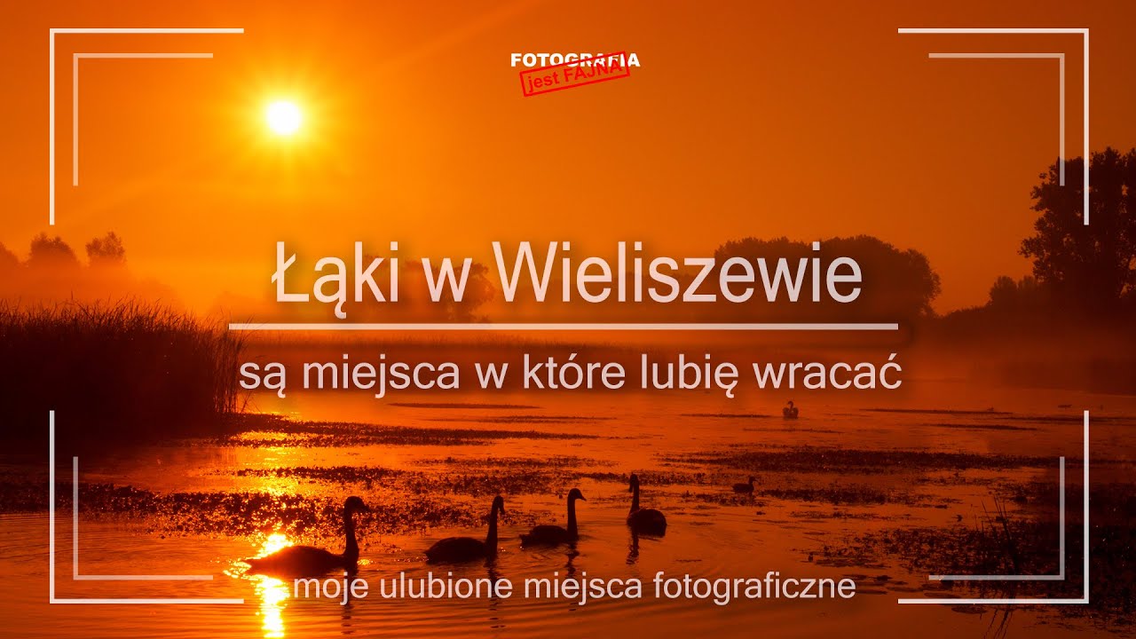 🚩 Łąki w Wieliszewie - moje ulubione miejsca fotograficzne - Fotografia jest Fajna