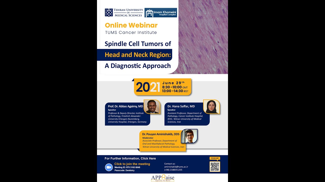 Spindle Cell Tumors of Head and Neck Region: A Diagnostic Approach