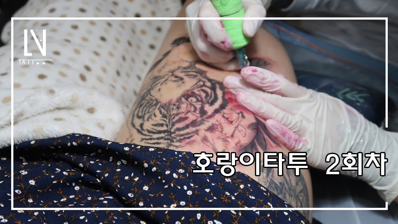 [레나타투]허벅지타투 호랑이 발색이 잘나오겠다