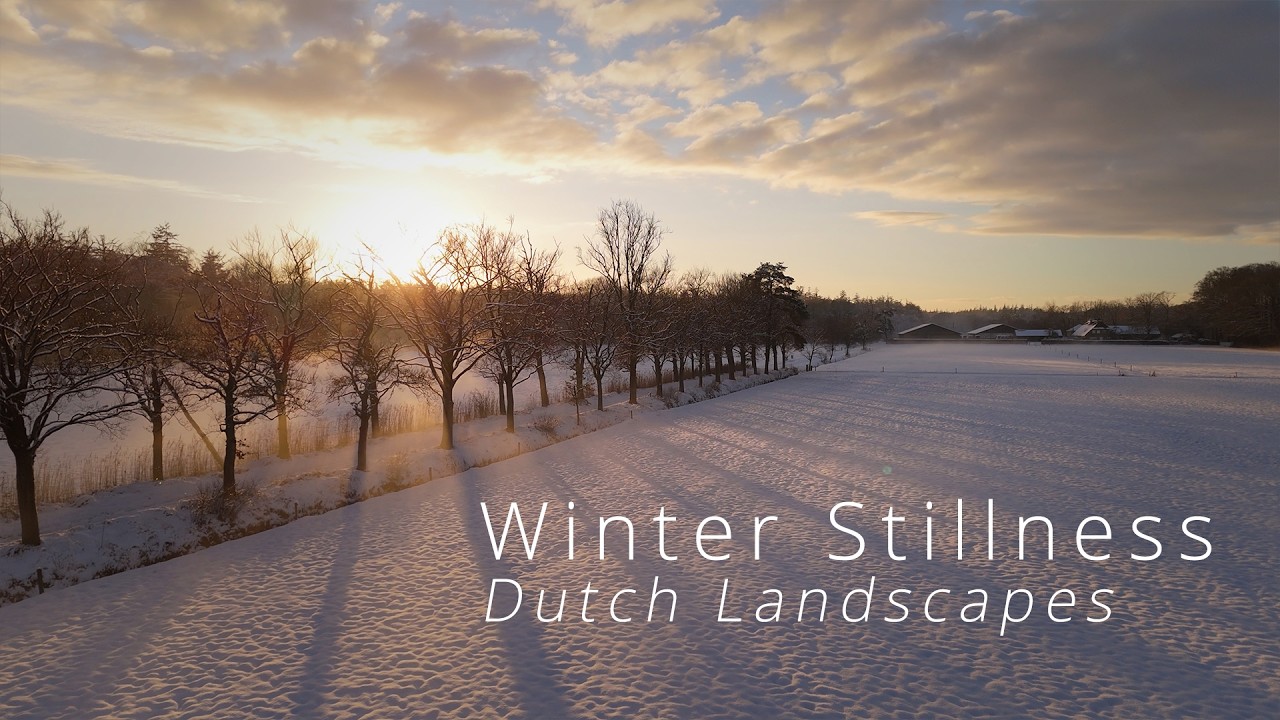 Winter Calm – Ice, Nature and Quiet Moments