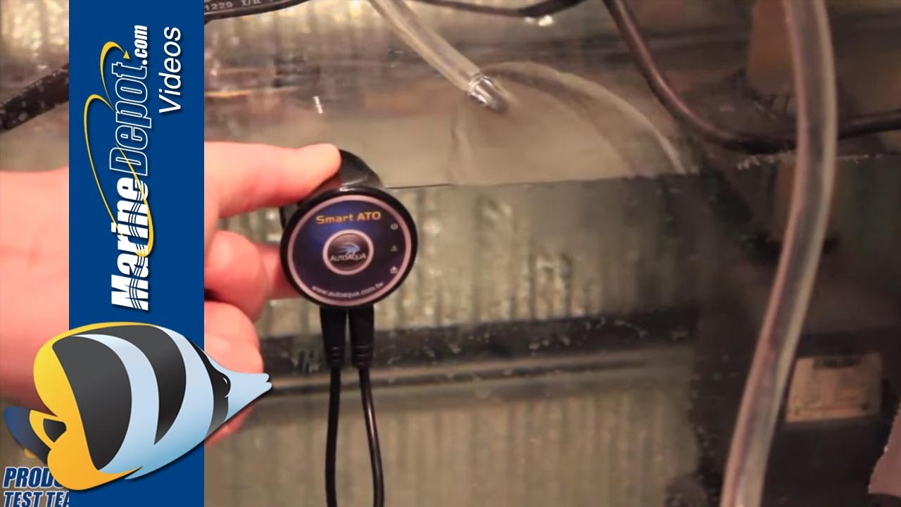 AutoAqua Smart ATO Review by Frags Reef - Marine Depot Product Test Team