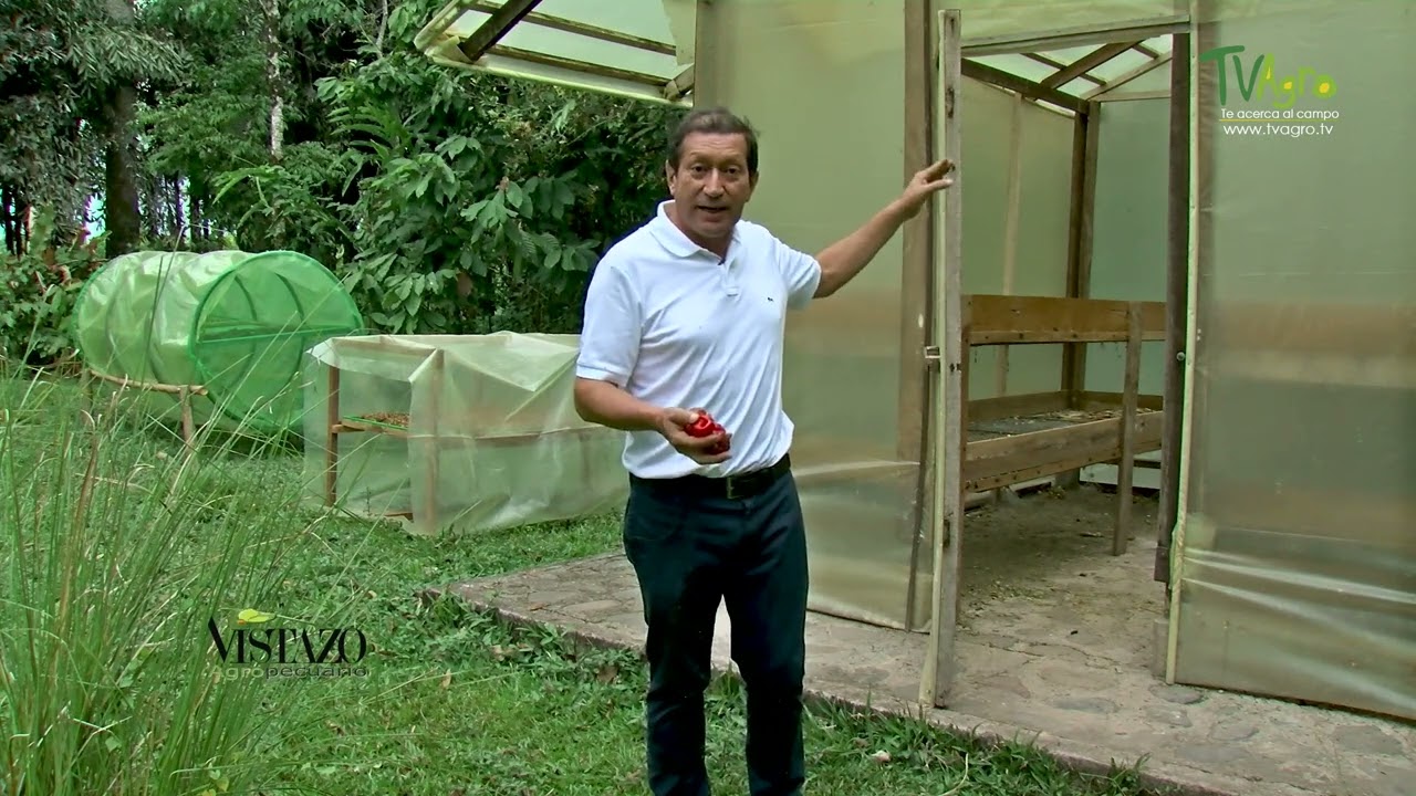 Deshidratador solar de alimentos, método simple y eficiente- TvAgro por Juan Gonzalo Angel Restrepo