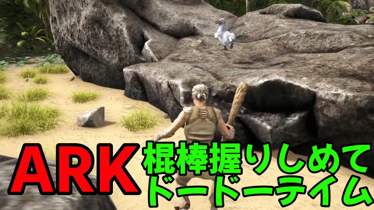 #3【ARK:Island】サンタは来ないけど、かわいいドードーを仲間にしたい！