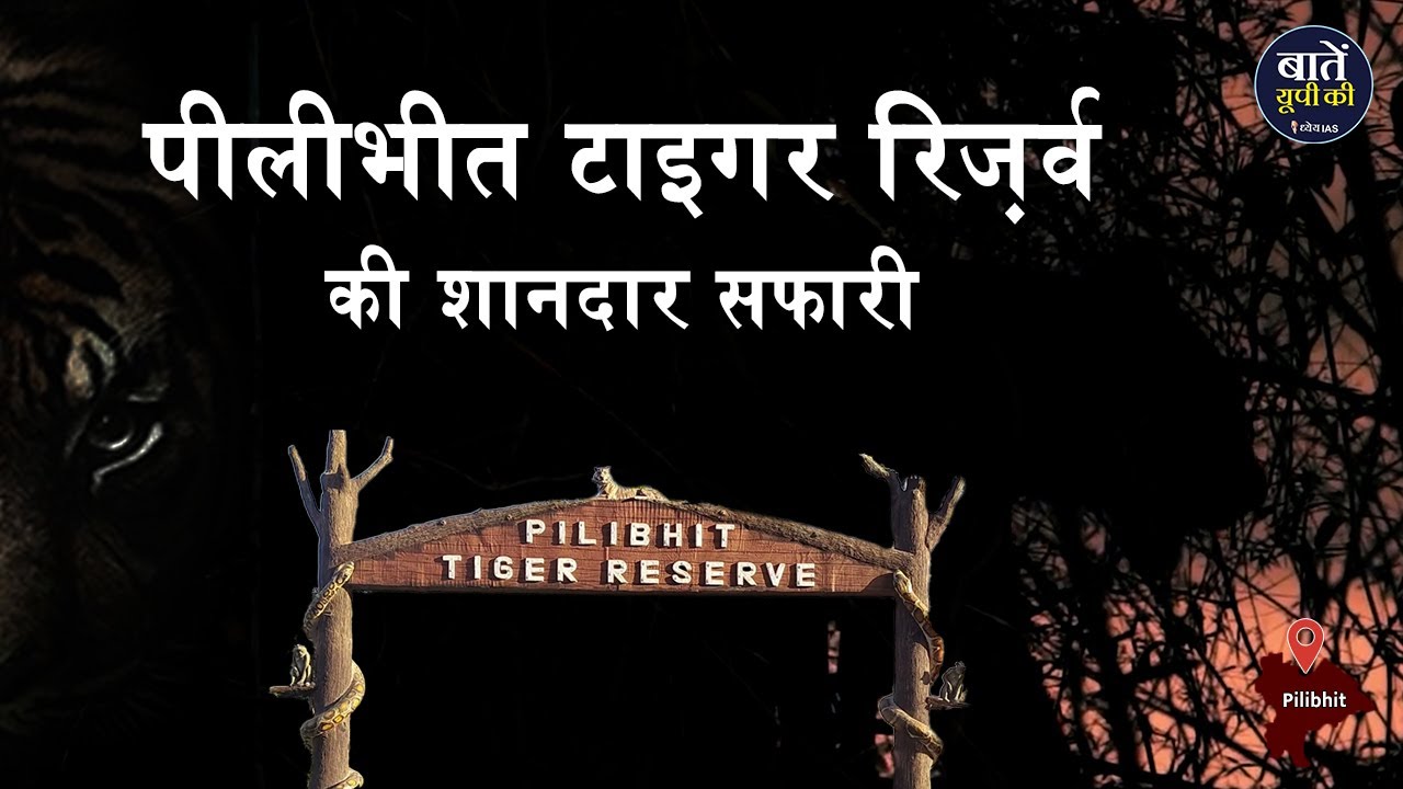 Pilibhit Tiger Reserve की शानदार सफारी | पीलीभीत टाइगर रिज़र्व | Pilibhit Tiger Reserve Safari