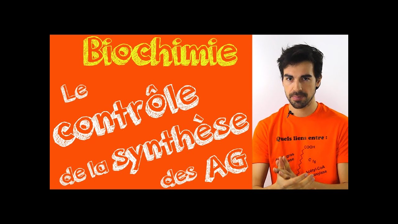 Cours de biochimie: le contrôle de la synthèse des acides gras