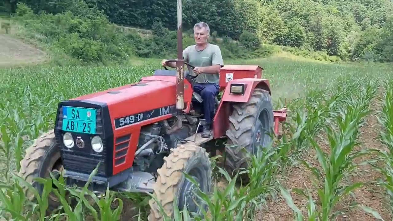 Špartanje i prehrana kukuruza sa IMT 549 DV i IMT špartačem