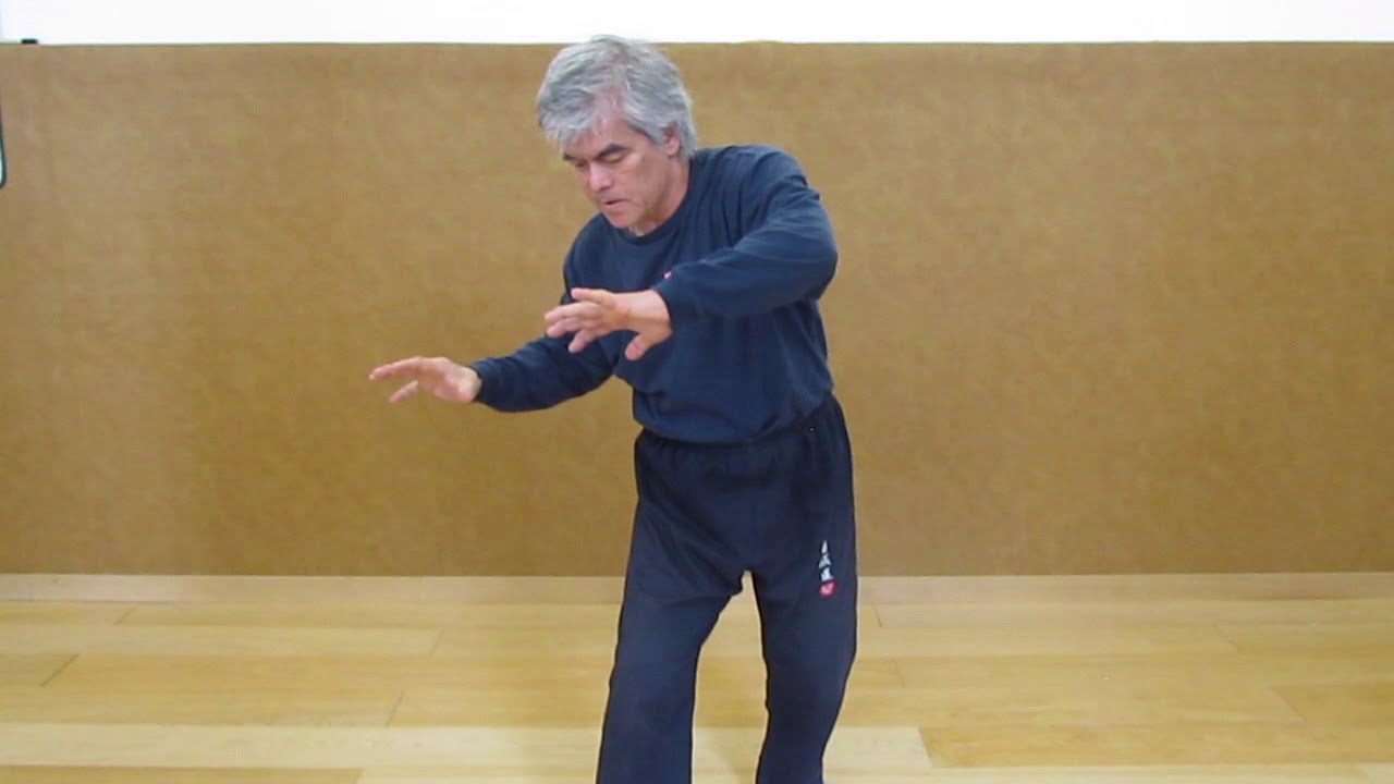 Senseï Kenji Tokitsu: le serpent surpris
