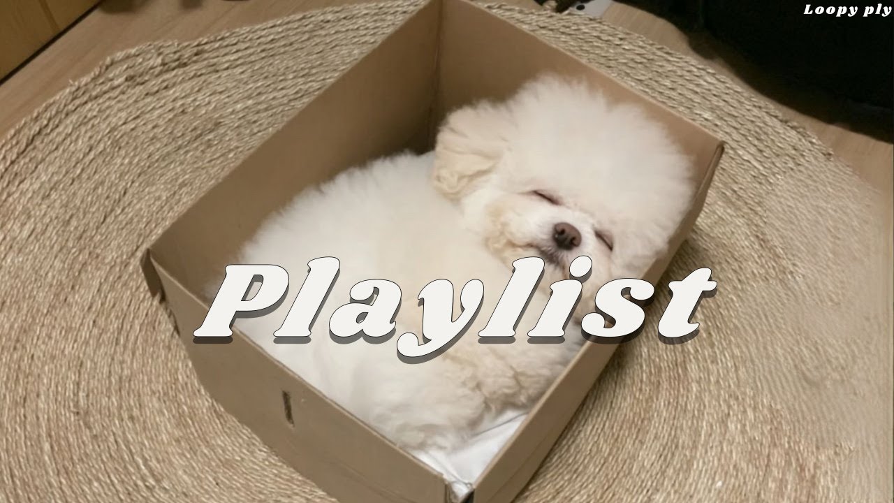 [PlayList] 🎧출근? 난 그냥 박스 안에 있을래~음악들으면서~  | Chill & Mood 🤍 | POP Playlist 🎶