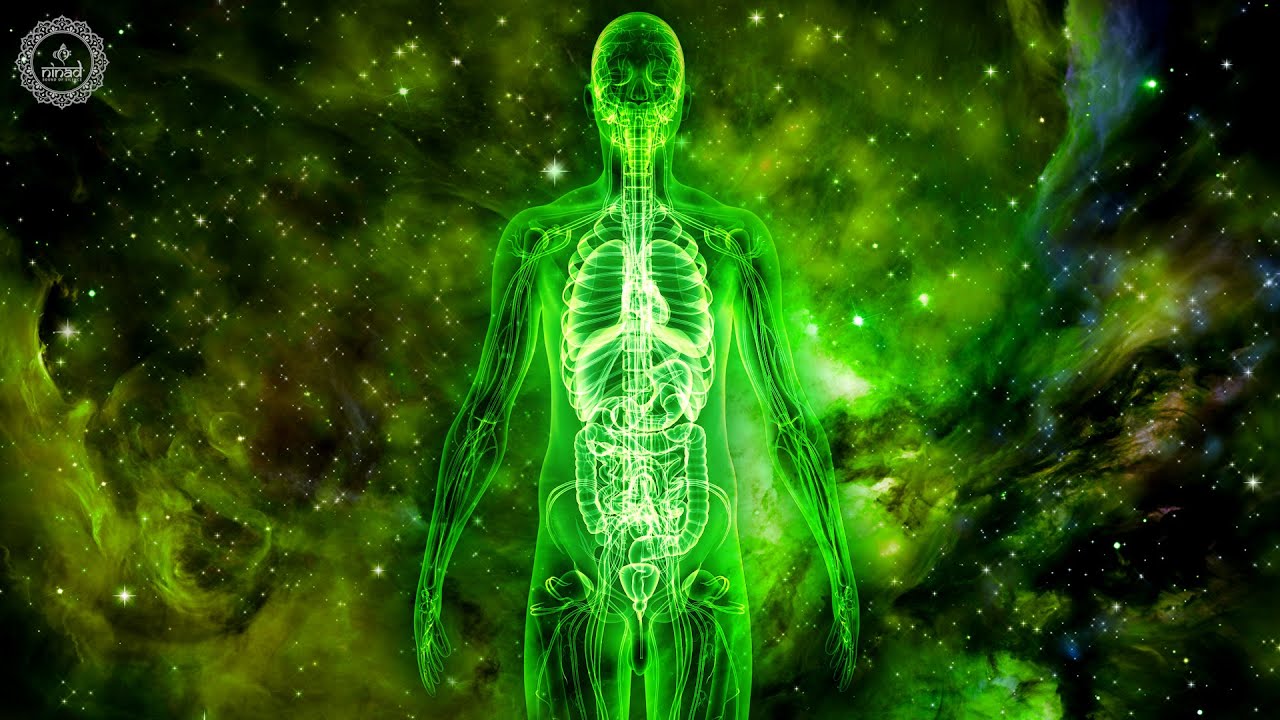 Heal Your Brain Heart Lungs Liver And Kidneys | Increase Body's Strength And Stamina | 285 Hz Music