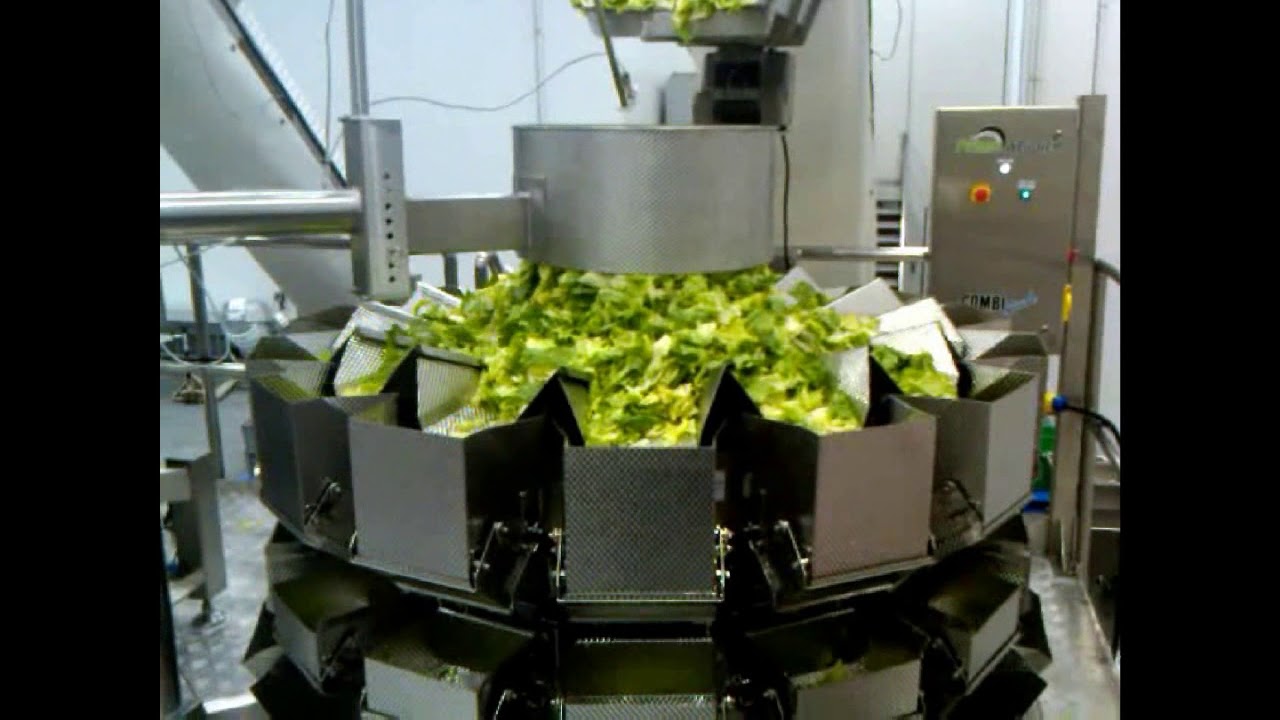 PrimoCombi&reg; multihead weigher dispensing salad
