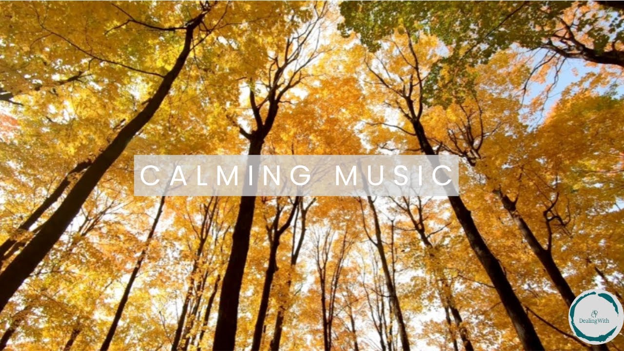 Hour long ambient music that will calm your mind