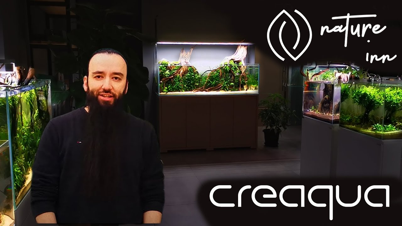 Türkiye'nin En Kaliteli Akvaryum Galerisi -  Nature Inn Gallery | Her Çeşit Akvaryum Tasarımı Var!