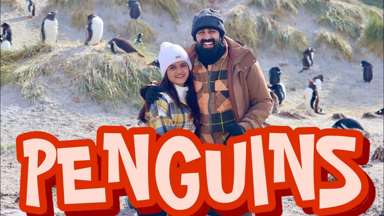 FALKLAND ISLANDS | GP | Gopika Anil