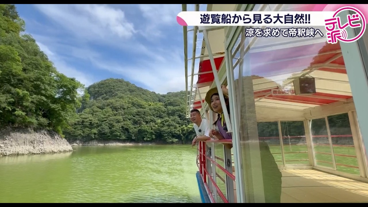 【長い年月を経て自然に溶け込んだダム】緑豊かな帝釈峡を代表する観光スポット