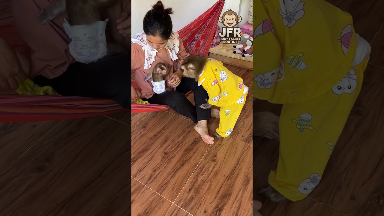 Jumie&rsquo;s Deep Sleep  but Judy Can&rsquo;t Stop Asking for Mom&rsquo;s Love