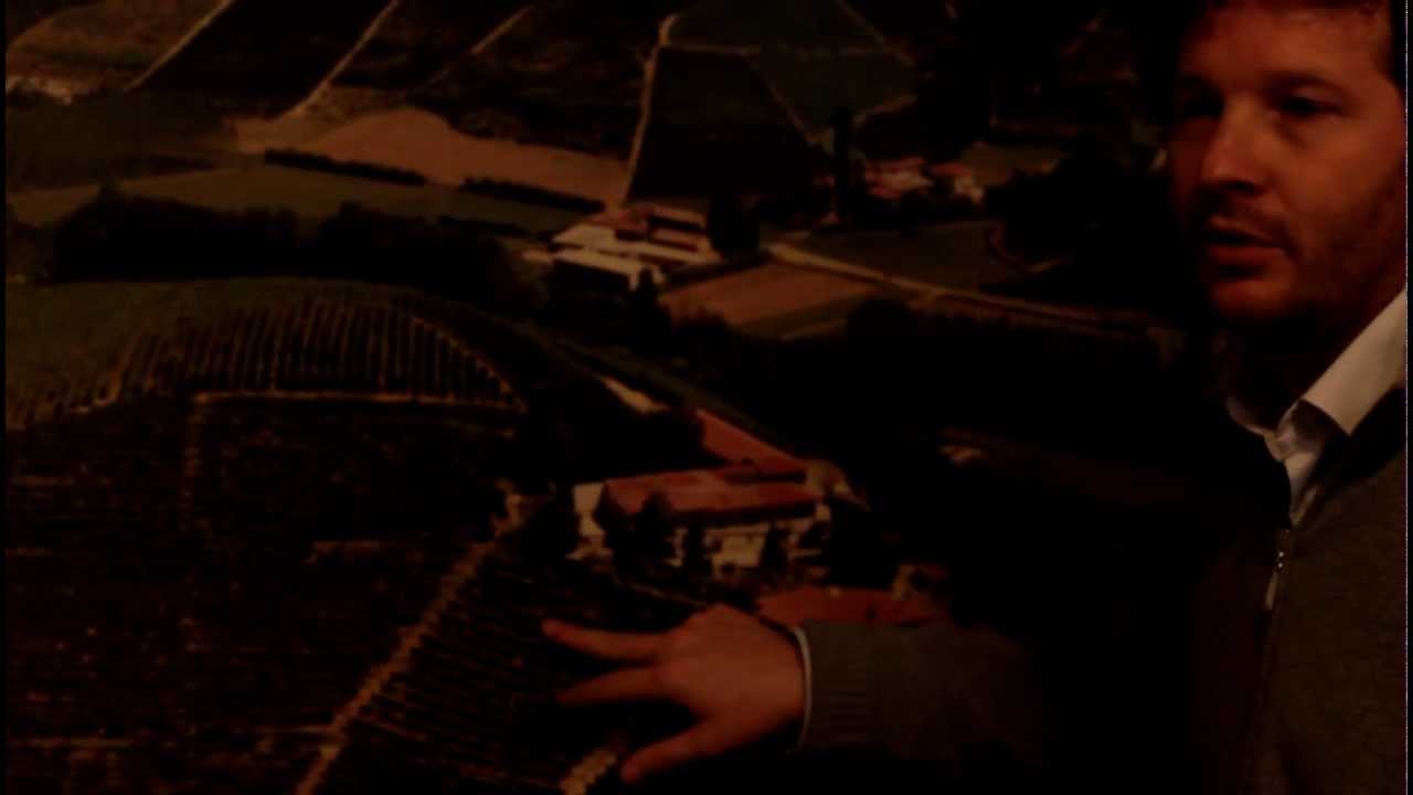 What Makes Cavallotto's Barolo San Giuseppe Special