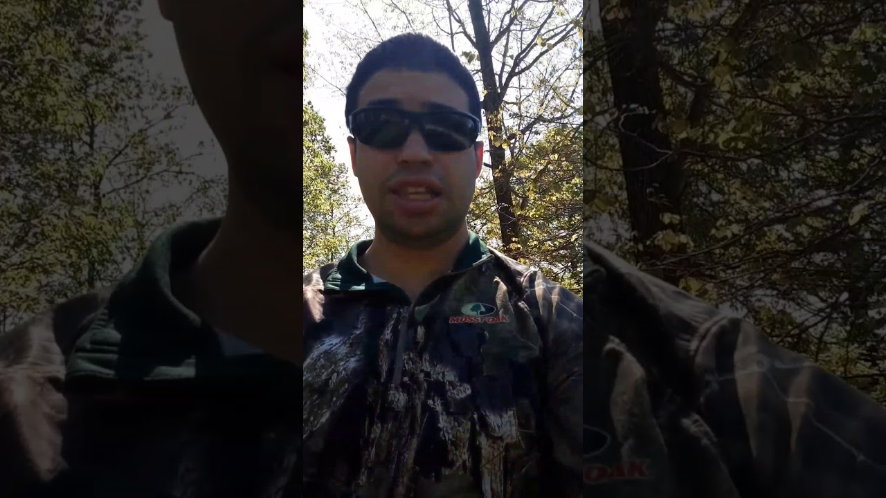 Tao Raptor 200 road test