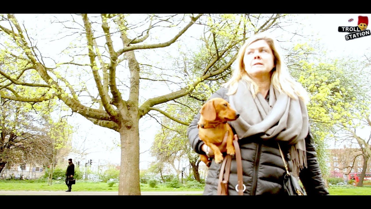 Dog Nap Prank