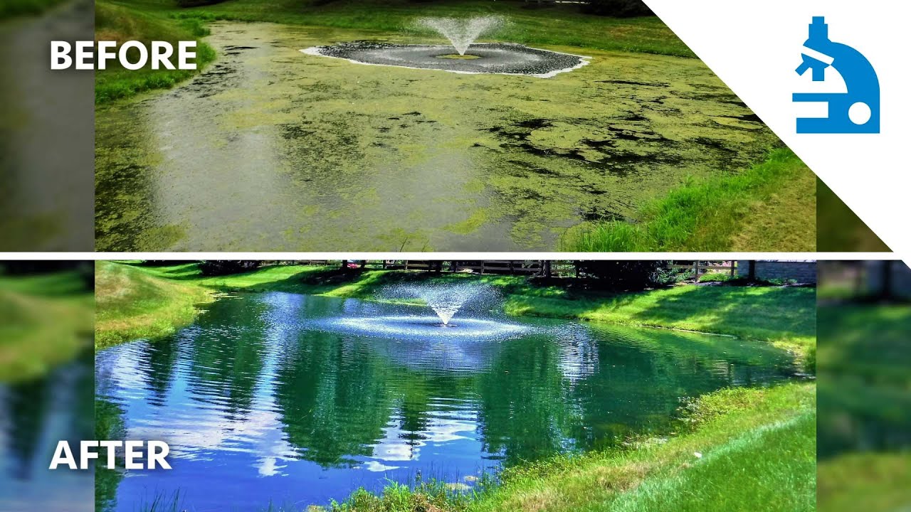 Aquashade Mini-Series: Let's Throw Some Shade (On Algae)